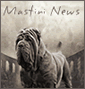 Breeders, Allevatori, Criadero NEWS