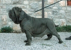 DSCN00411.JPG