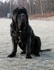 DSCN0042.JPG
