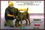 Sephora by sine^die II Res. CAC & CACIB.jpg