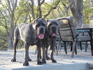 DSCF7135.jpg