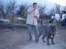 Dogs 18 01 2007 090.jpg