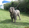 smaruzzella delo stadone 0011jpg.jpg