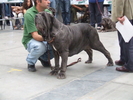Trofeo Mario Querci 2006