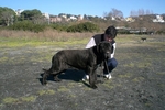 achille 8 mesi 038.jpg