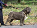 toro 2012.jpg