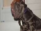 DSCF2374.jpg