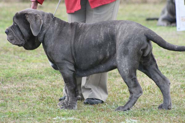 2ndVPminorFemIMG_2944