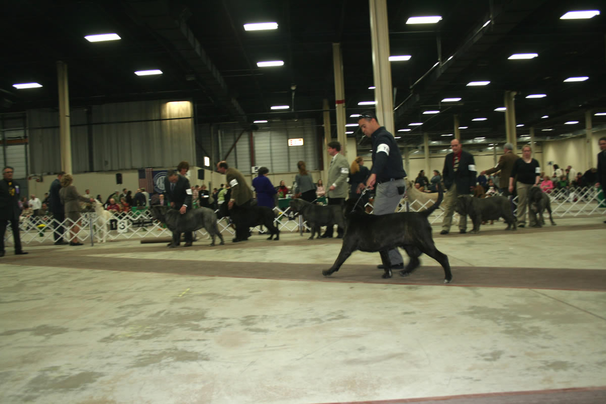 2009Nationals-37