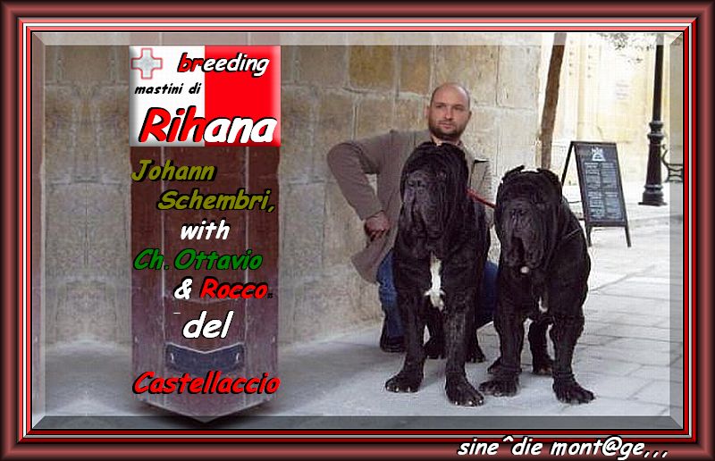 Johann Schembri with Ch.Ottavio & Rocco del Castellaccio,,,