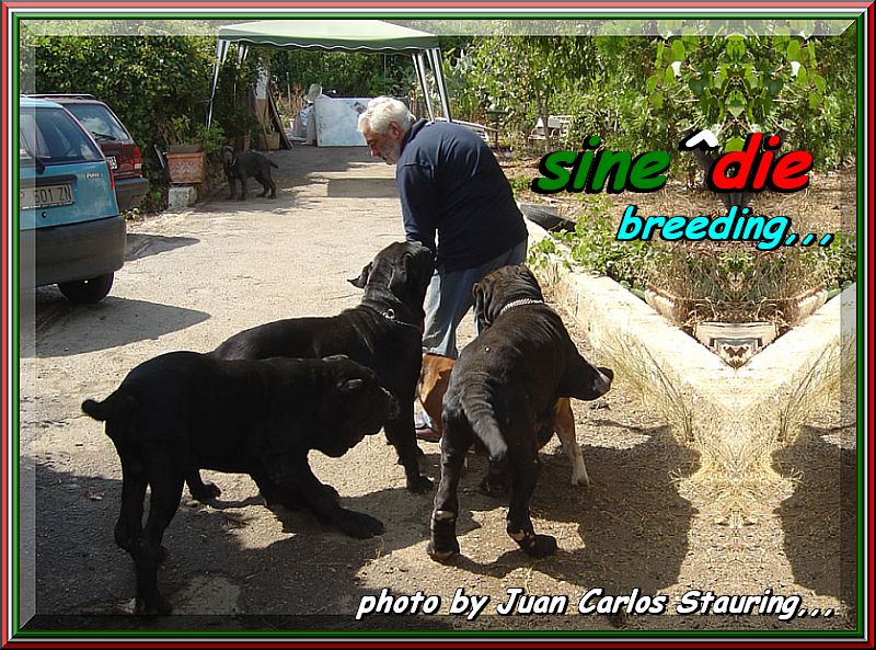 sine^die breeding,,, photo by Jc,,,
