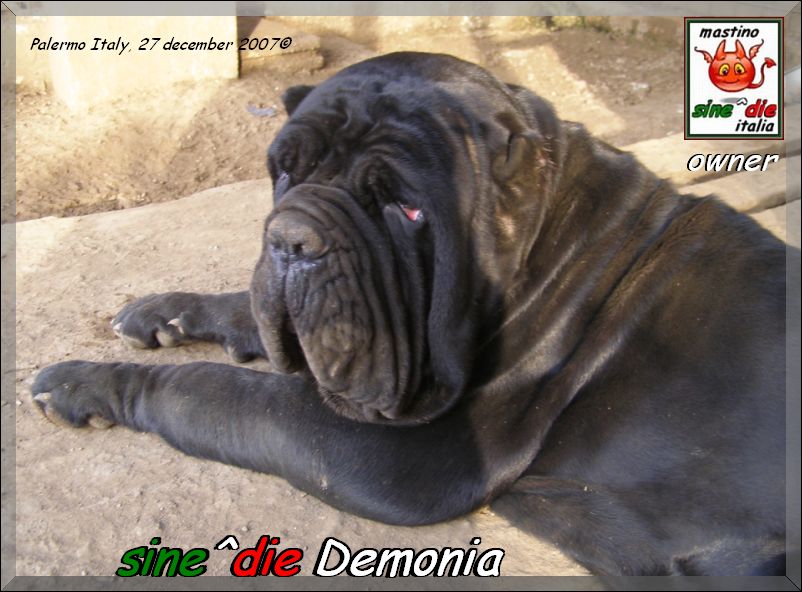 sine^die Demonia 27 dec 2007,