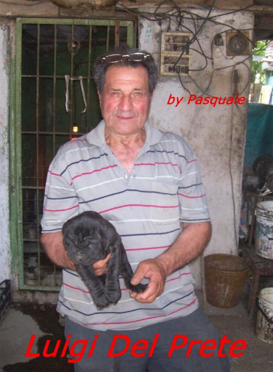 Luigi del prete - cuccioli - 3