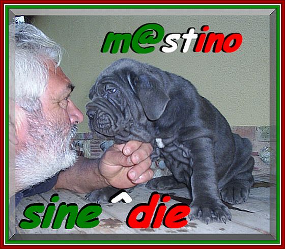 avatar 560 camorra & giuseppe