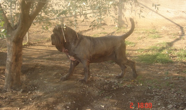 dsc00977dd9