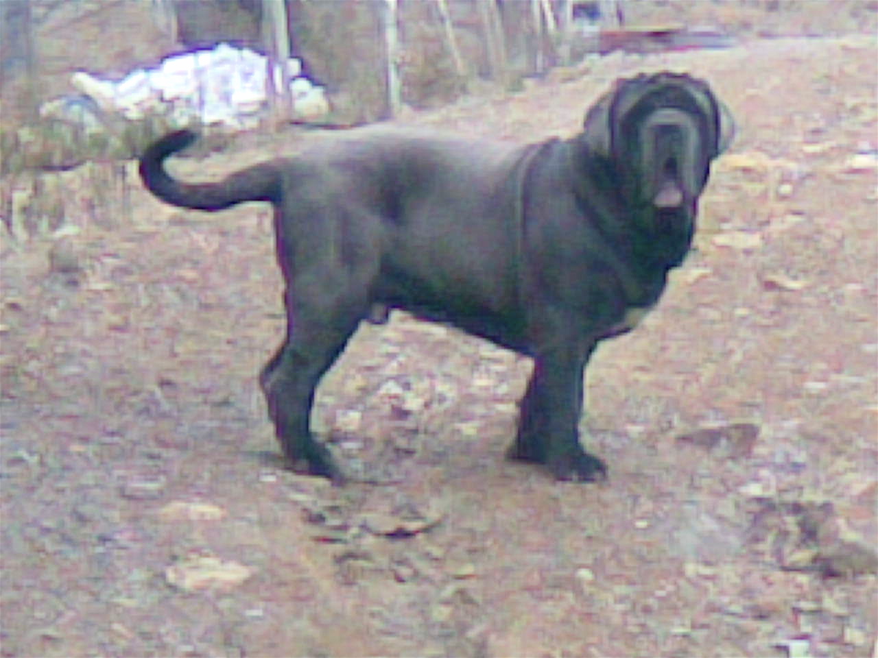 01122007(030)