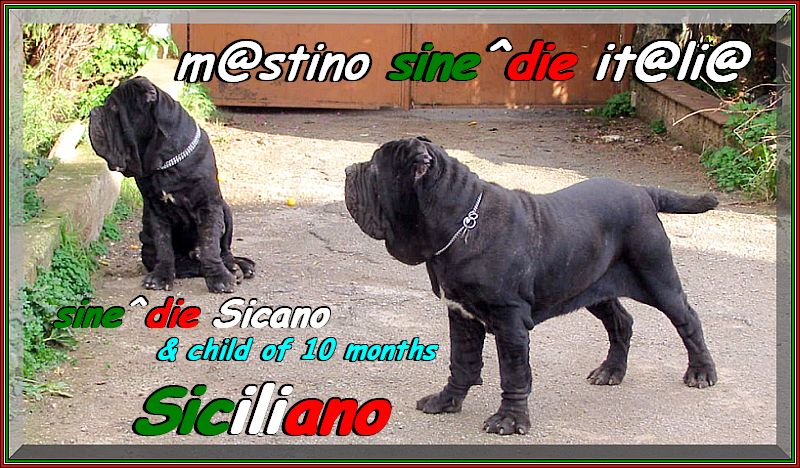 Siciliano & Sicano sine^die,,,