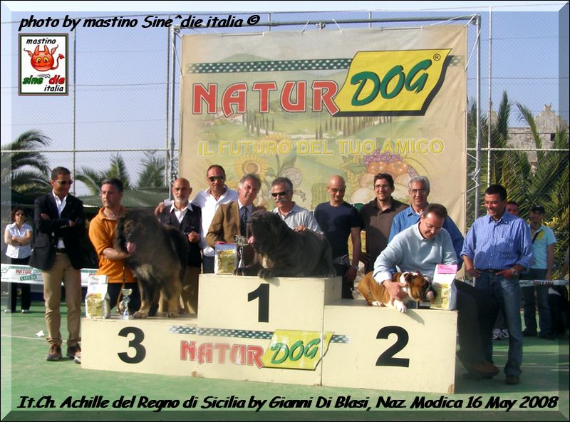 It. Ch. Achille del Regno di Sicilia,