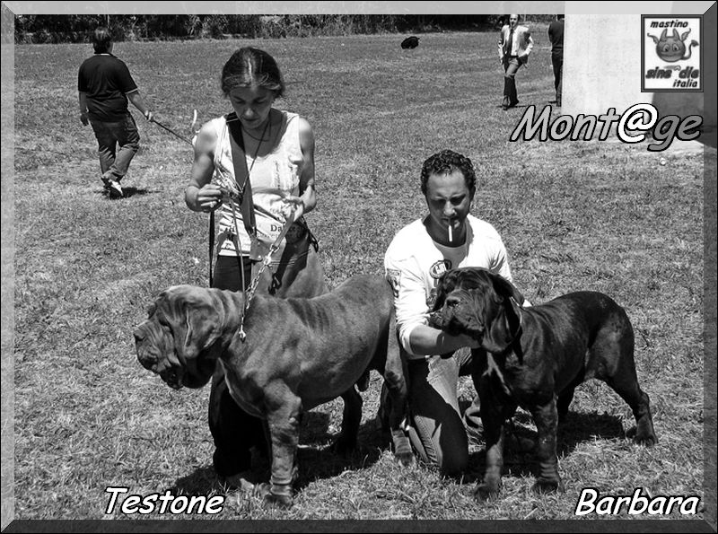 Testone & Barbara,,,