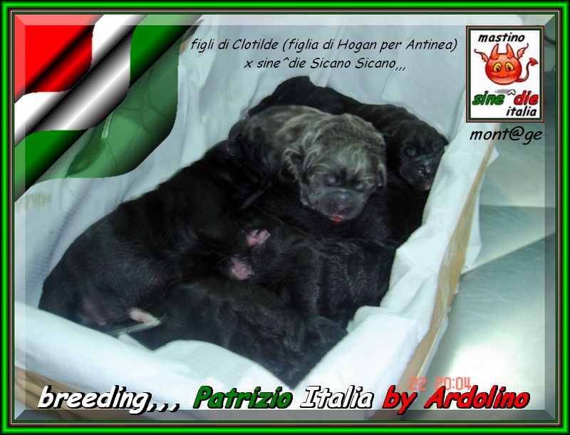 figli di Clotilde by Ardolino x sine^die Sicano,,, 22 september 2007