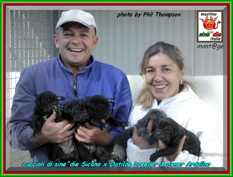 Cuccioli di sine^die Sicano x Clotilde proprietario Santolo Ardolino,,,,
