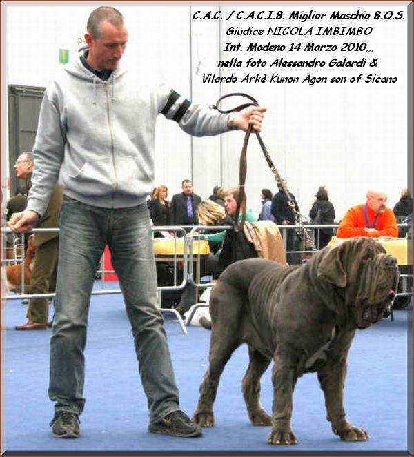 Int. Modena Vilardo Arke Kunon Agon,