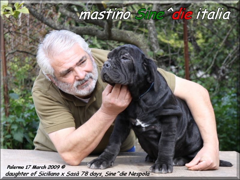 figlia di Siciliano X Sasa 78 days.