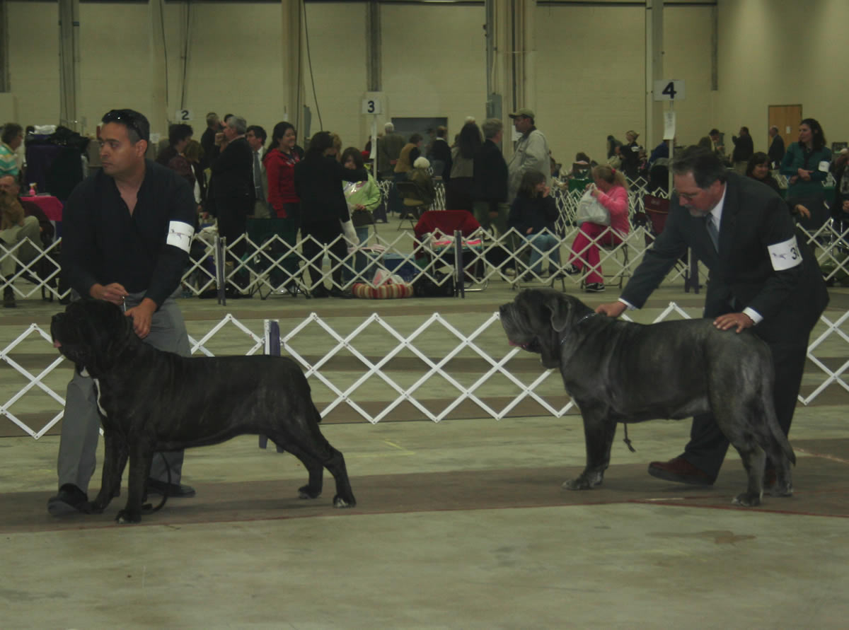 2009Nationals-30