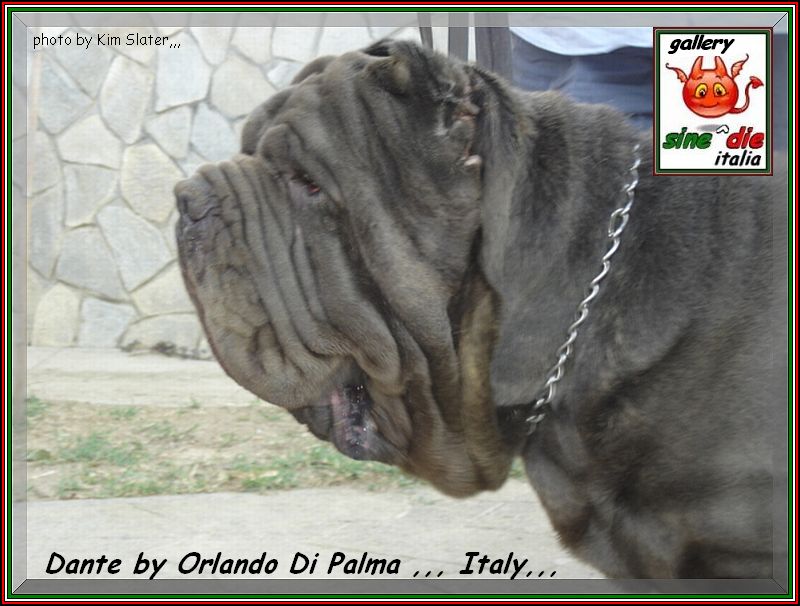 Dante by Orlando Di Palma Italy,,,