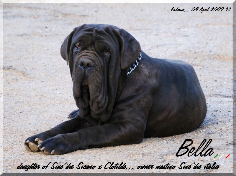 Bella,,, Sine^die Sicano figlia