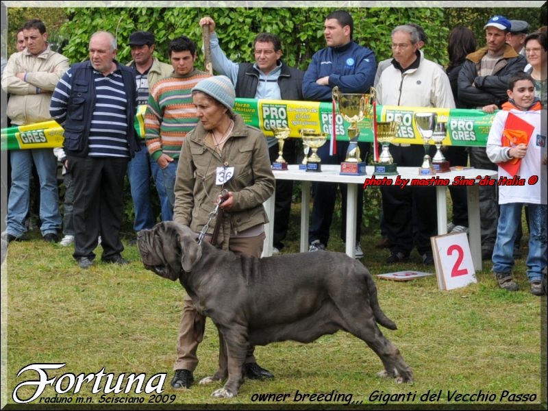 Fortuna by Giganti del Vecchio Passo