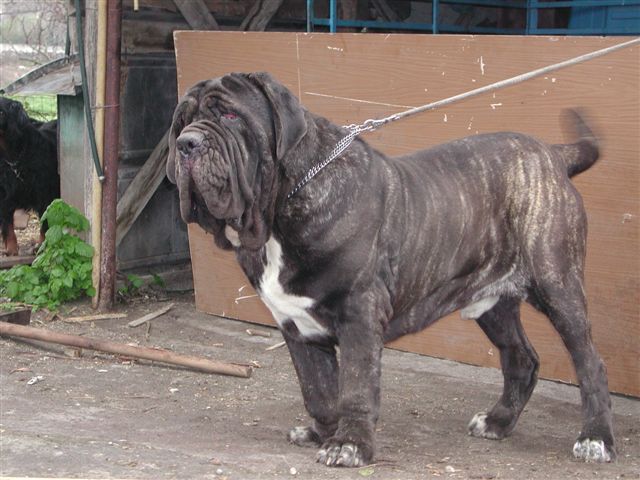 DSCN1697