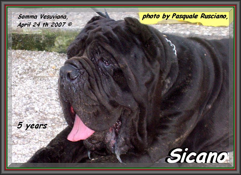sicano sine^die - 80 photo by Pasquale Paduano,,