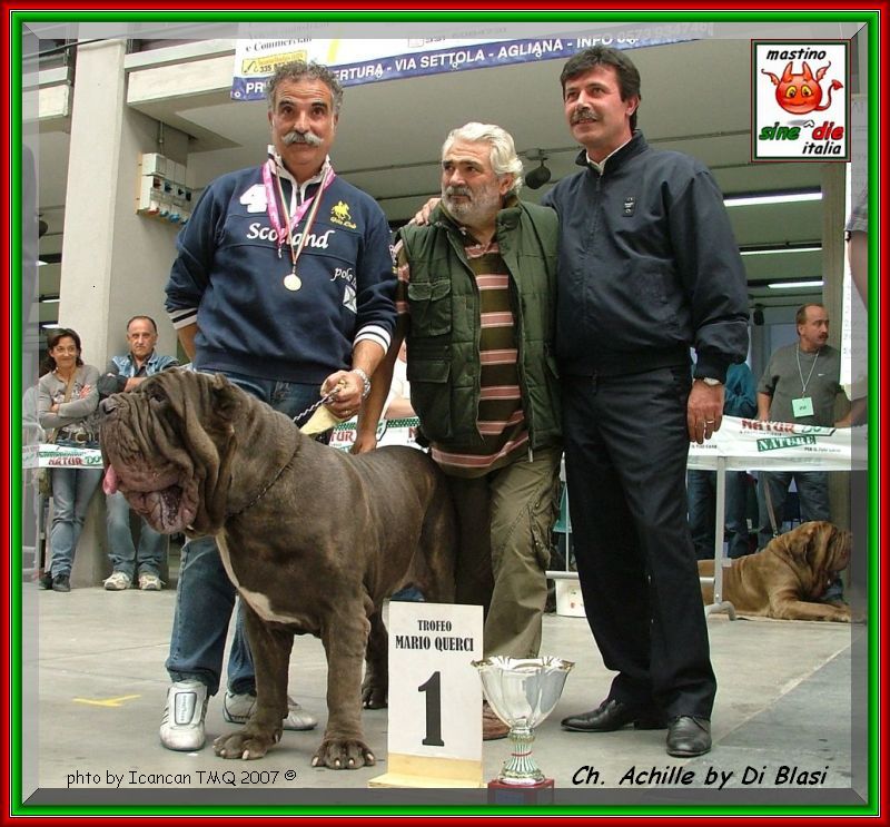 ATMQ 2007 Achille by Gianni Di Blasi, son of sine^die Sicano,,,  photo by kendail