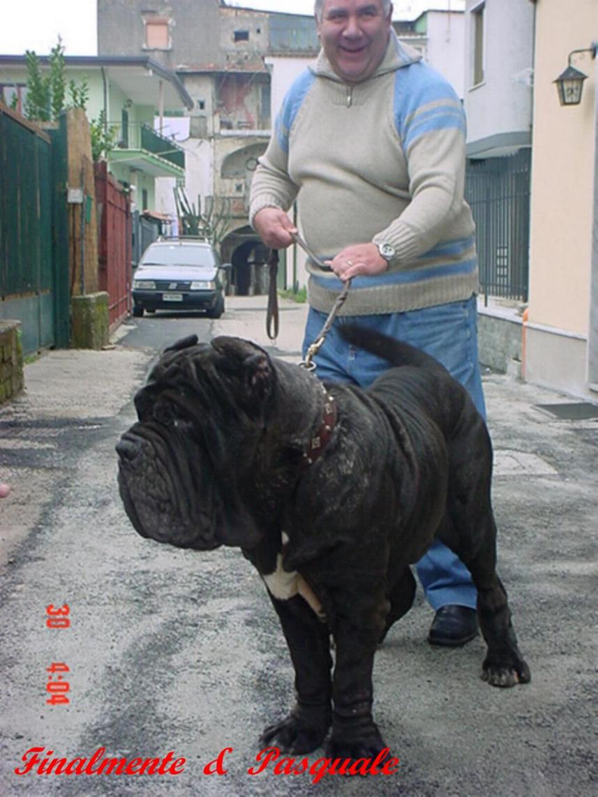 Pasquale - finalmente Napoli
