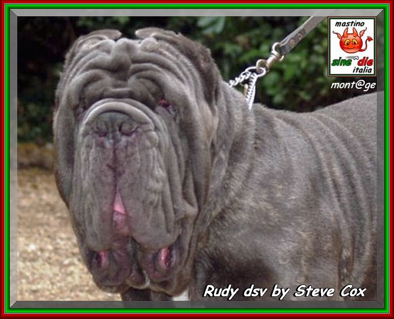 Rudy dsv by Steve Cox