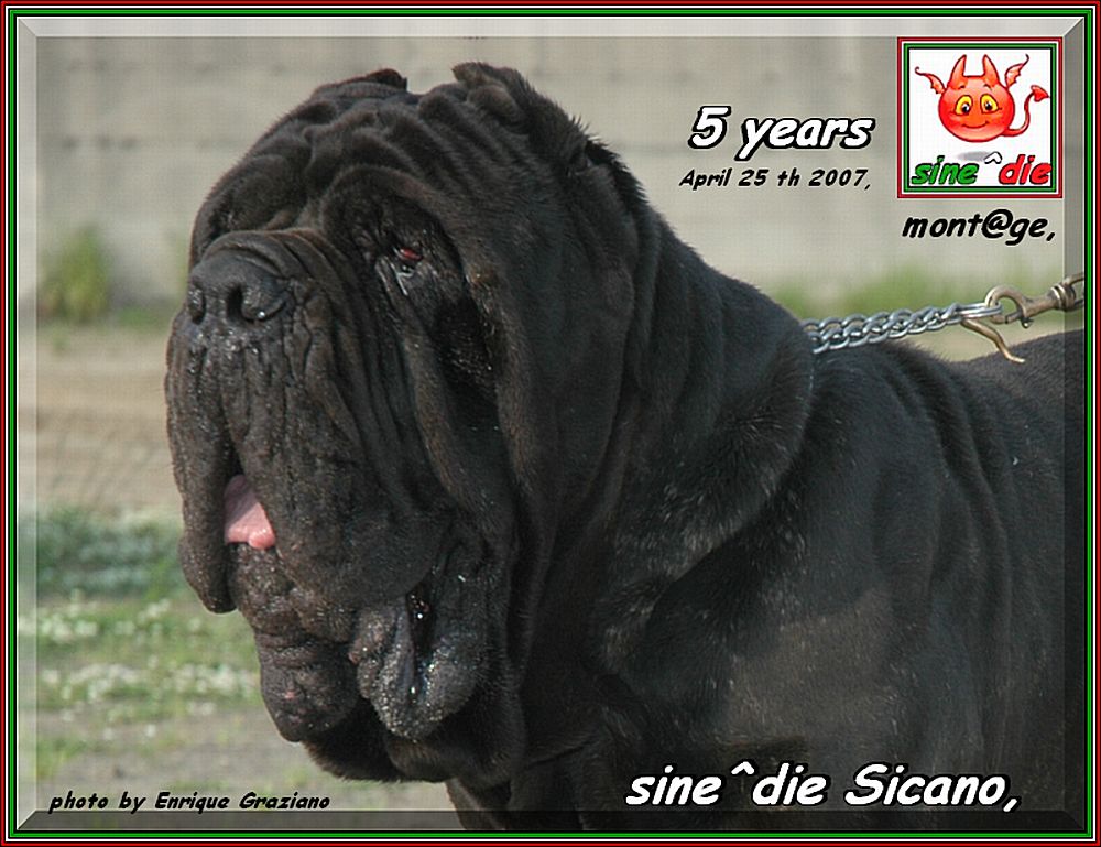 sine^die Sicano,,, photo by Enrique Graziano brasil,,, 1000 pixel testa