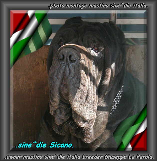 sine^die Sicano x community zx