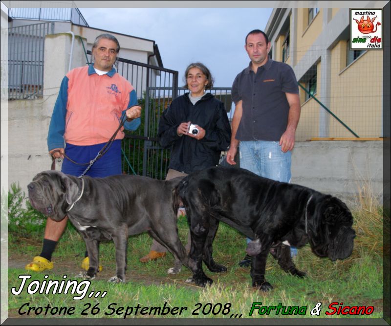 Joining,,, new Fortuna & Sicano