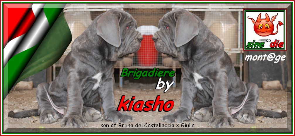 Brigadiere by kiasho ooo