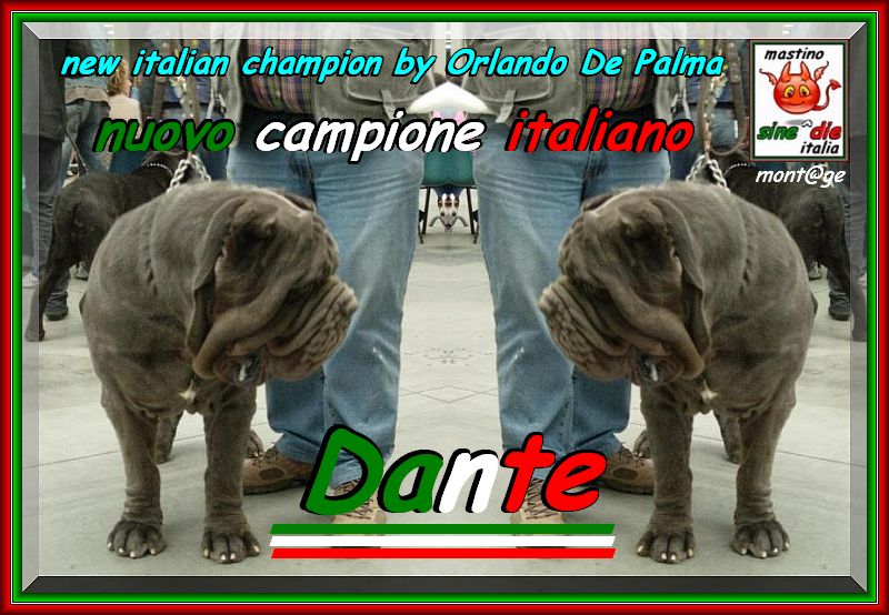 Dante by Orlando De Palma new italian champion sine^die montage,,,