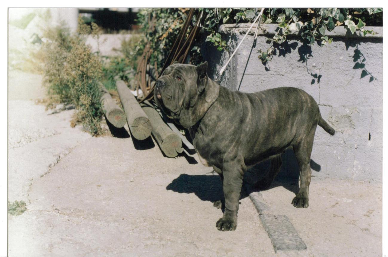 Dick figlio Hatrim della Grotta Azzurra - 2