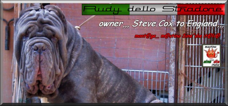 Rudy dello Stradone,