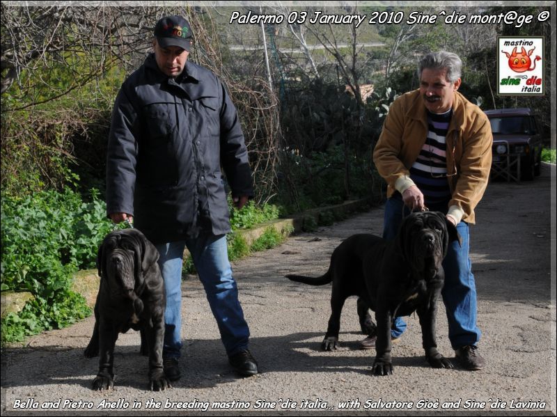 Salvatore  Gioe and Sine^die Lavinia,,