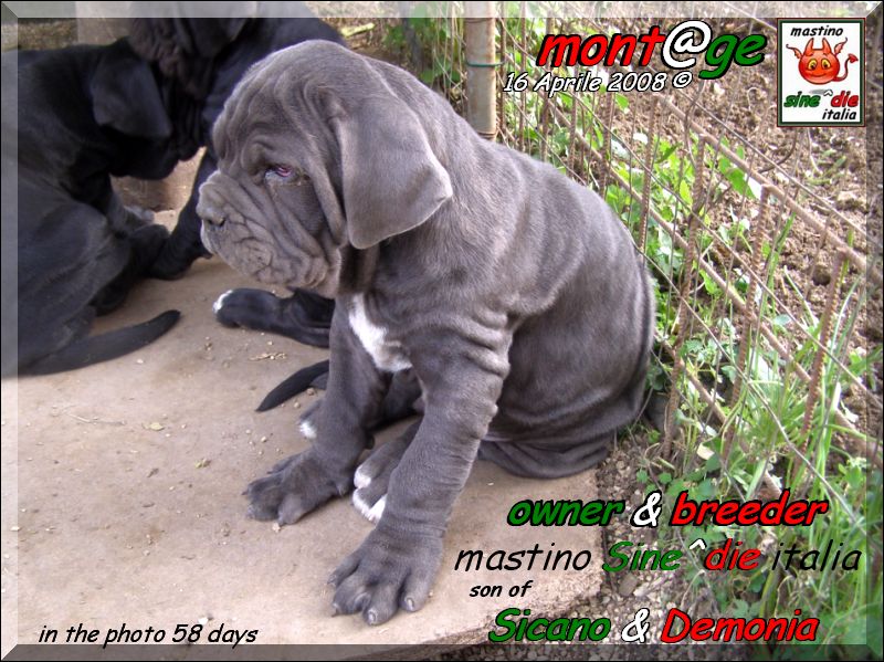 Cuccioli di Demonia & Sicano Sine^die,,, Palermo 16 aprile 2008,