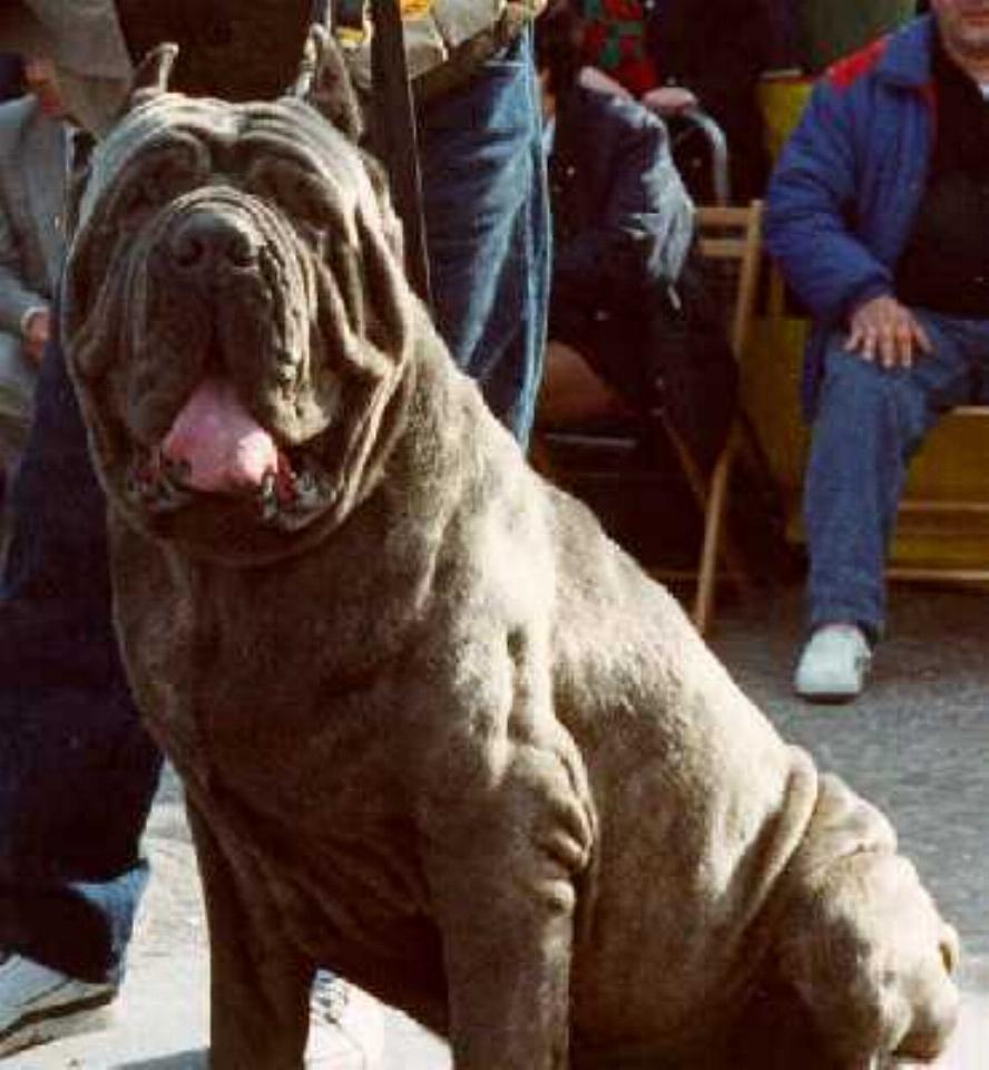 hatrim della grotta azzurra - bis napoli