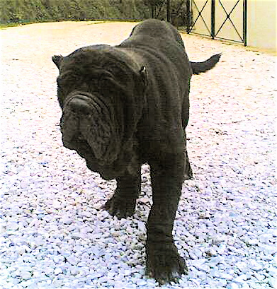 11032007