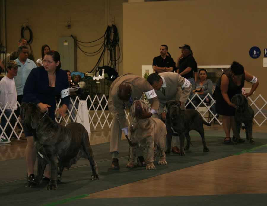 2010-Nationals-43