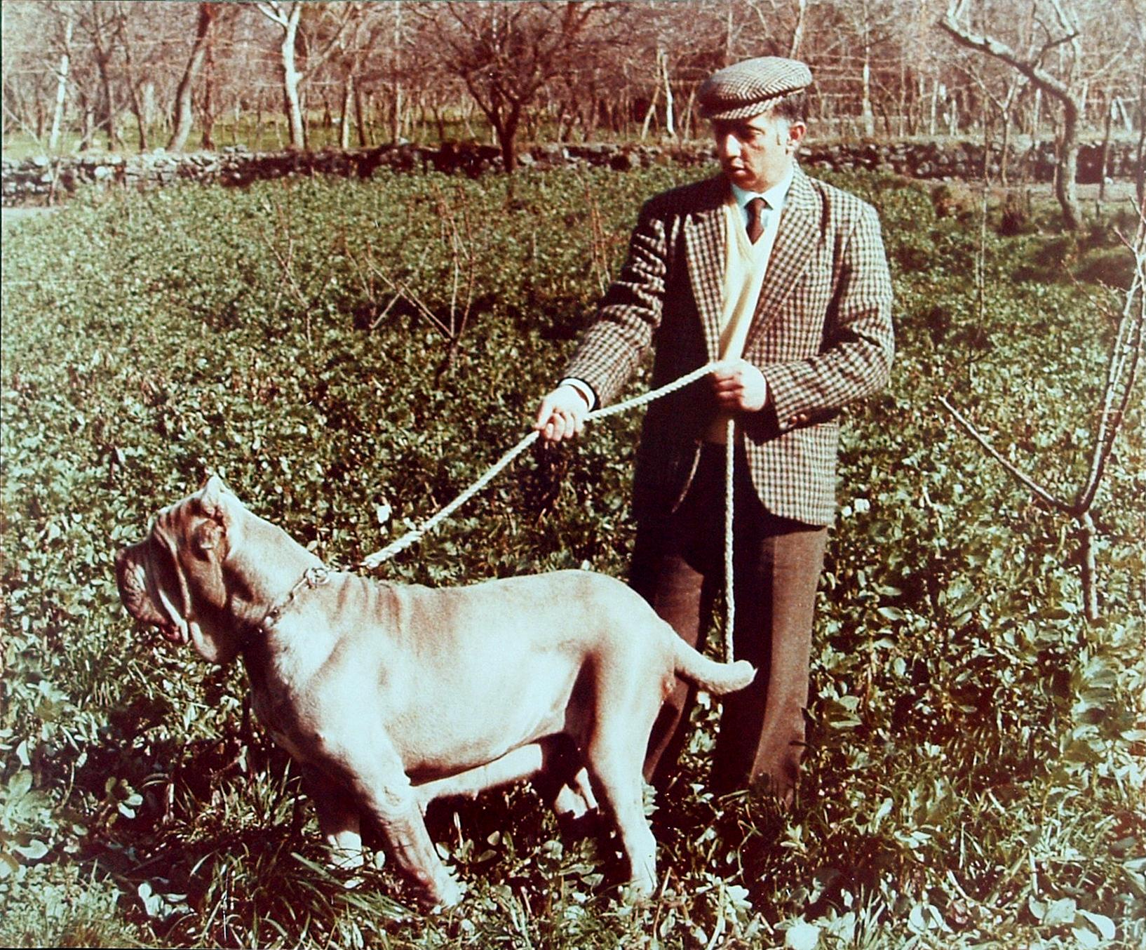 Vittorio Rivellini