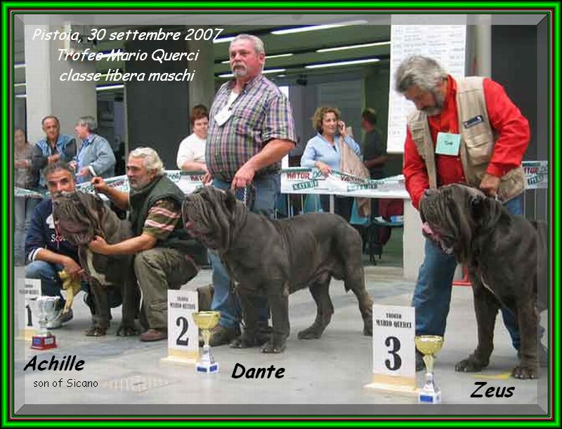 trofeo Mario Querci,,, 2007,,,